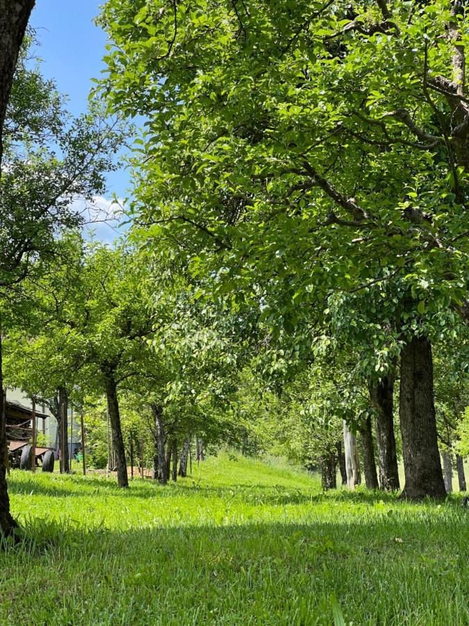 Ferienwohnung Mahar Feistritz im Rosental Luaran gambar
